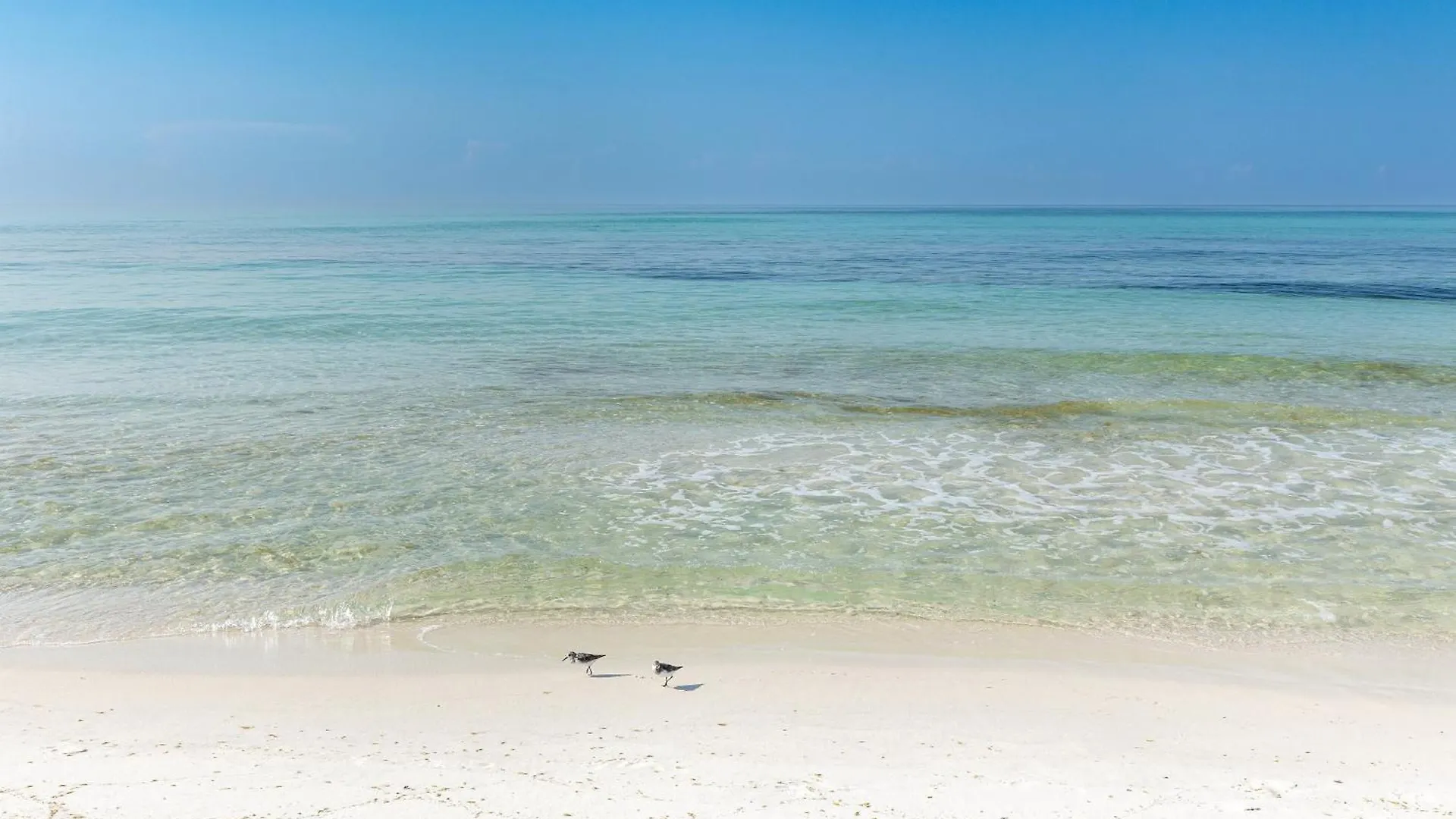 Miramar Palms #82- By Holiday Isle Properties Destin Apartamento